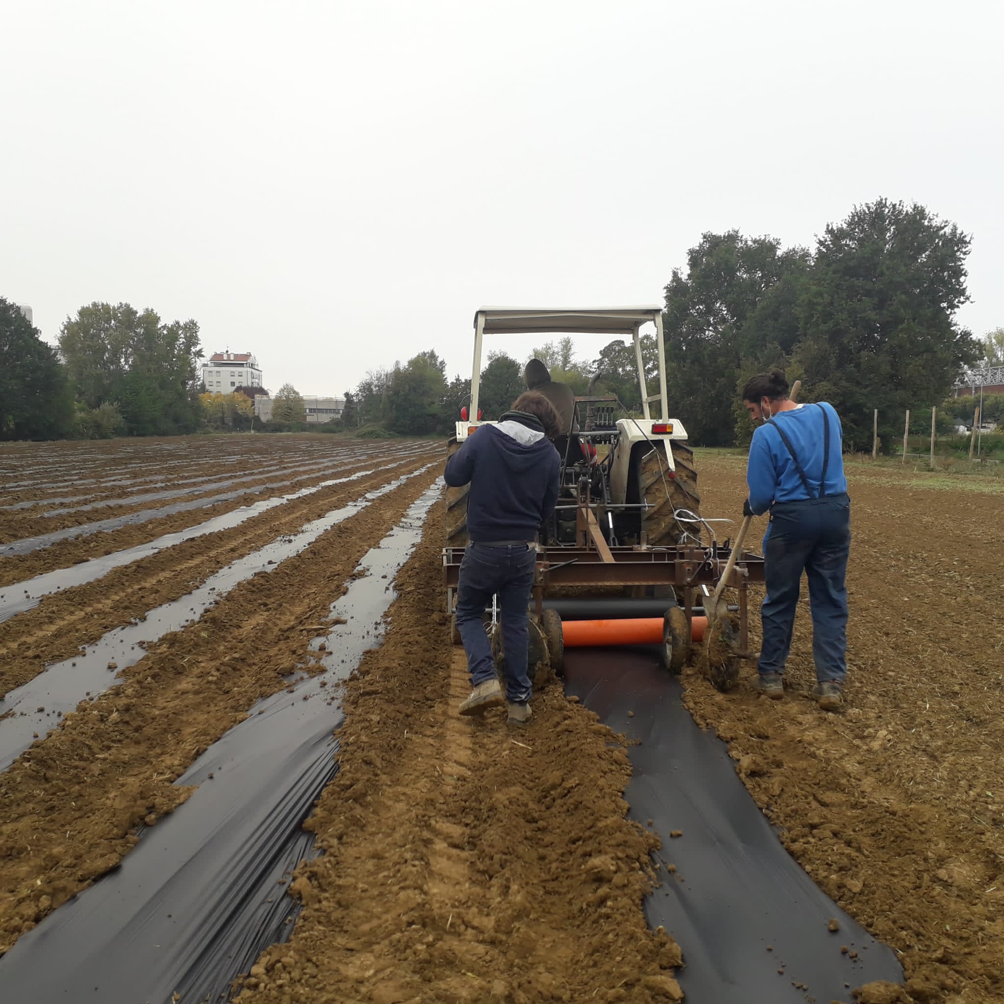 Sostieni Emporium Salus di Eta Beta Sostieni Emporium Salus-Eta Beta