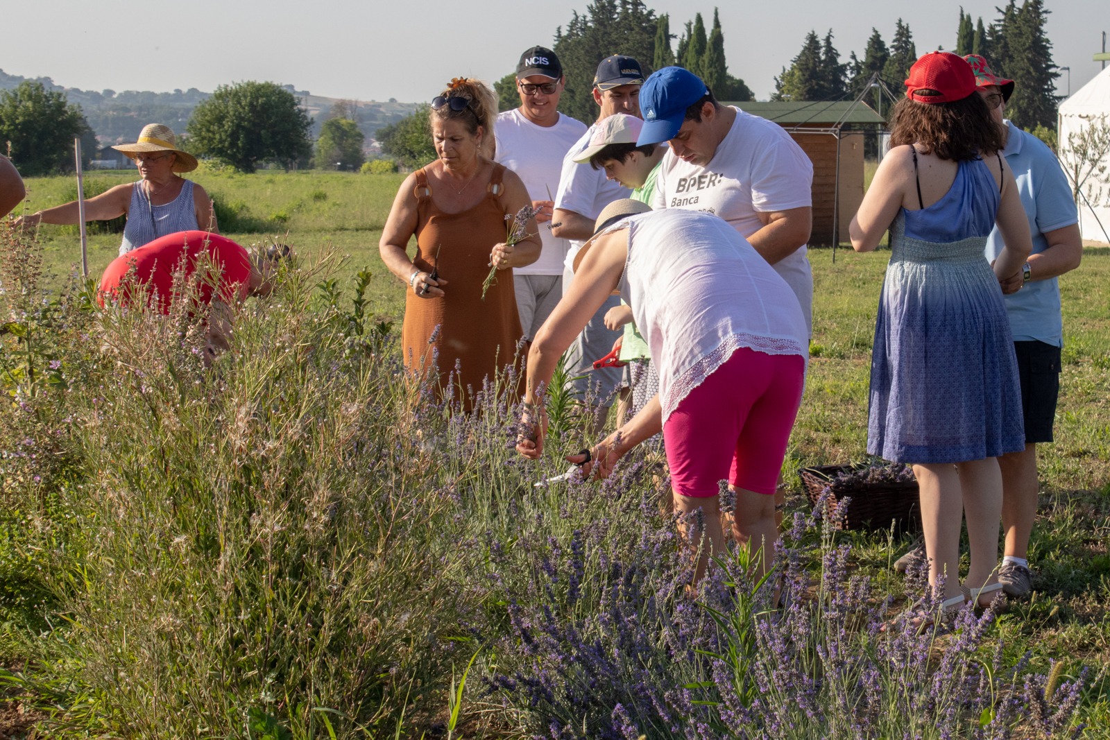 UN PULMINO PER LA PERSONA AL "CENTRO".-Ass. Vivere Sereni