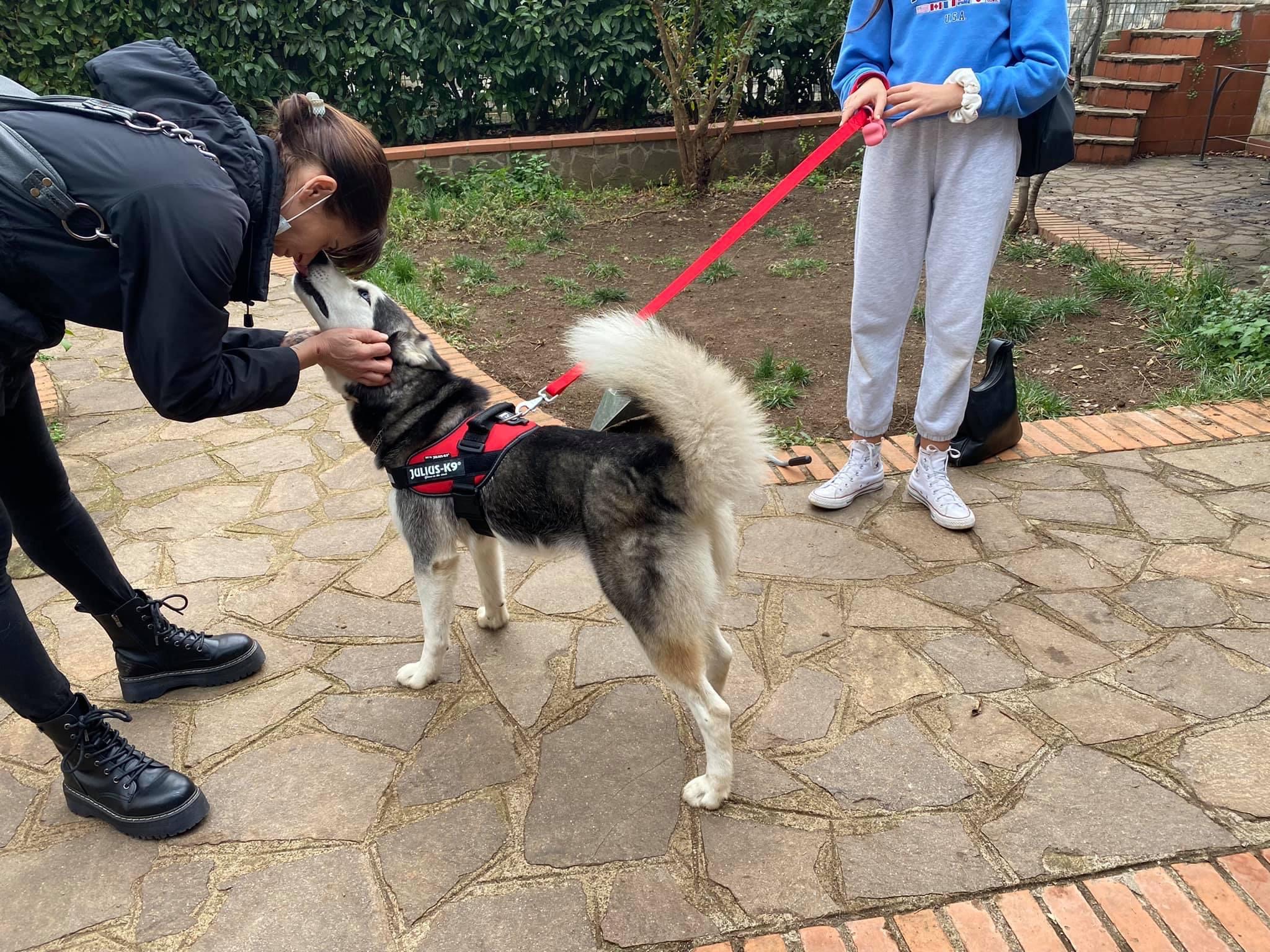 Ambiente e Animali-SAT KRONOS