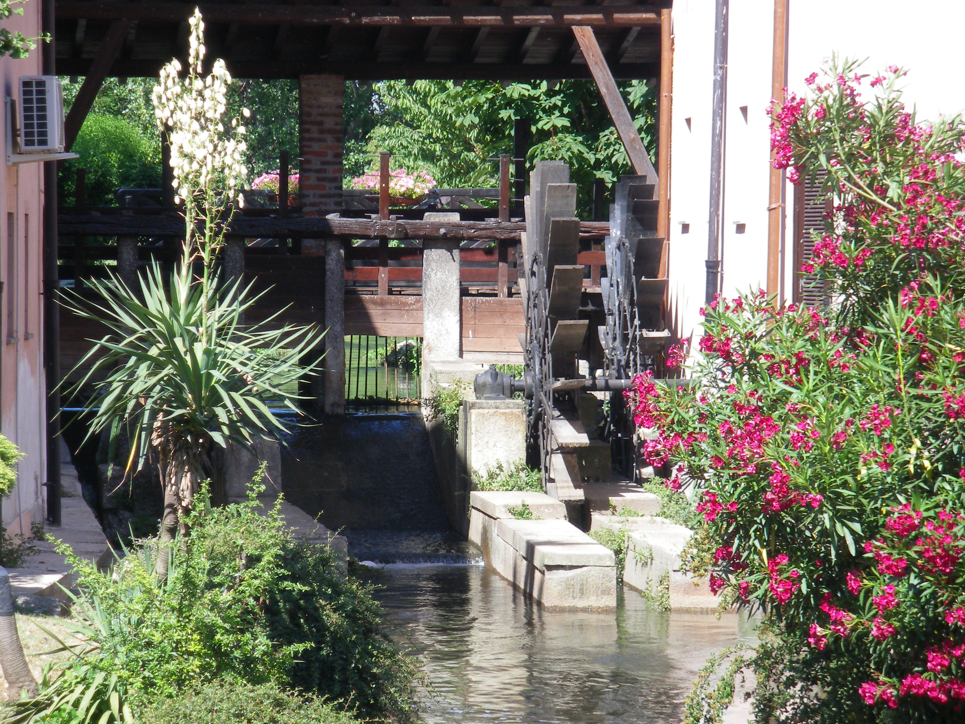 Sognare è vivere-Fondazione Exodus - don Mazzi