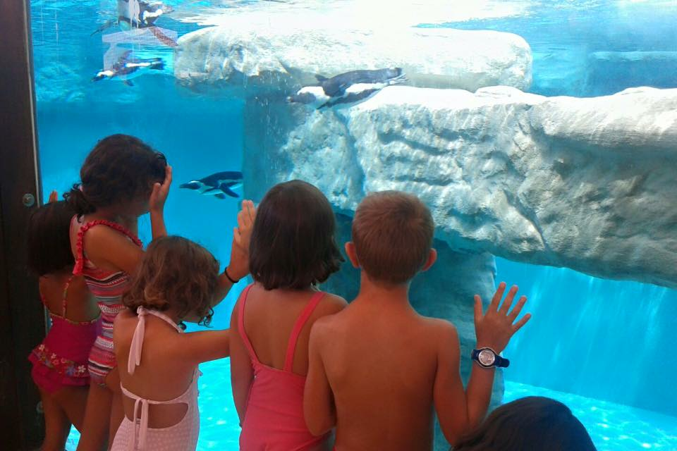 Una corsa per i bimbi di Moncenisio 4-Associazione Moncenisio 4