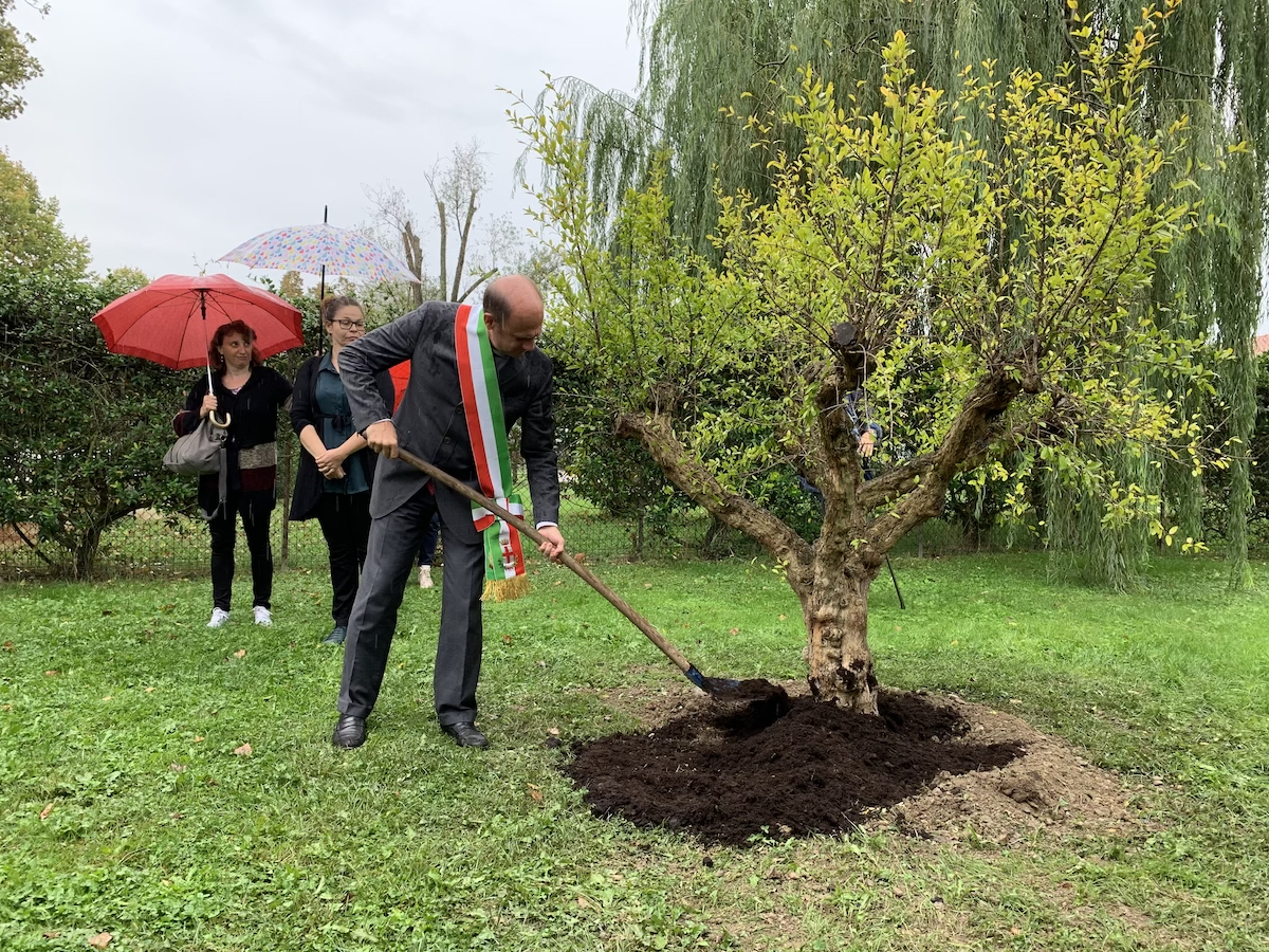Parco inclusivo Albero del tesoro di Fondazione Robert Hollman Parco inclusivo Albero del tesoro-Fondazione Robert Hollman