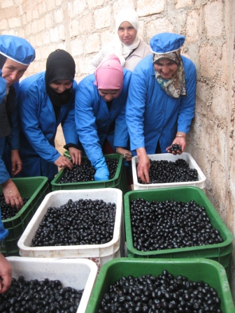 Marocco Sport Challenge-CEFA ONLUS