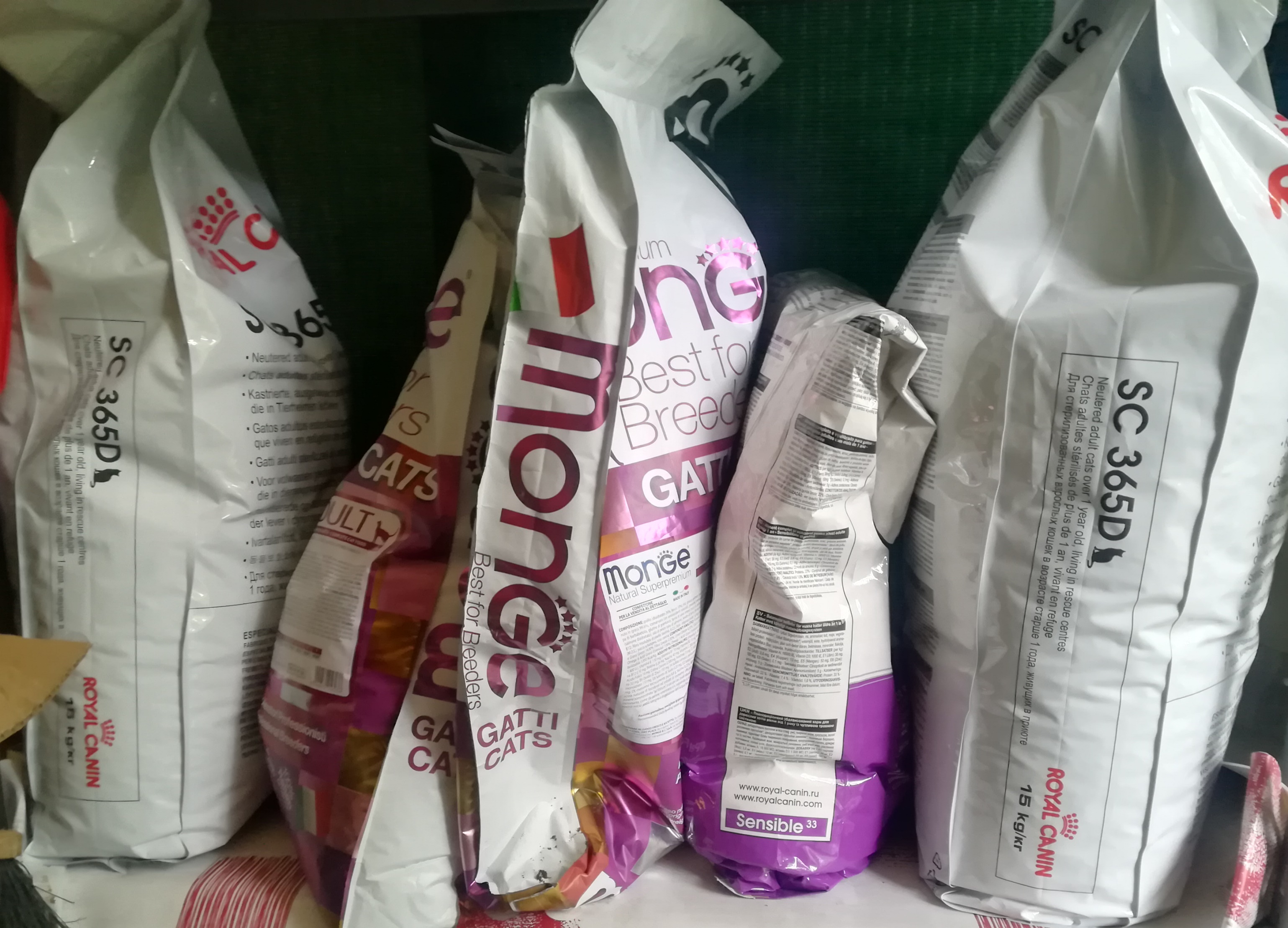 Riempiamo le ciotole!-Gattaland