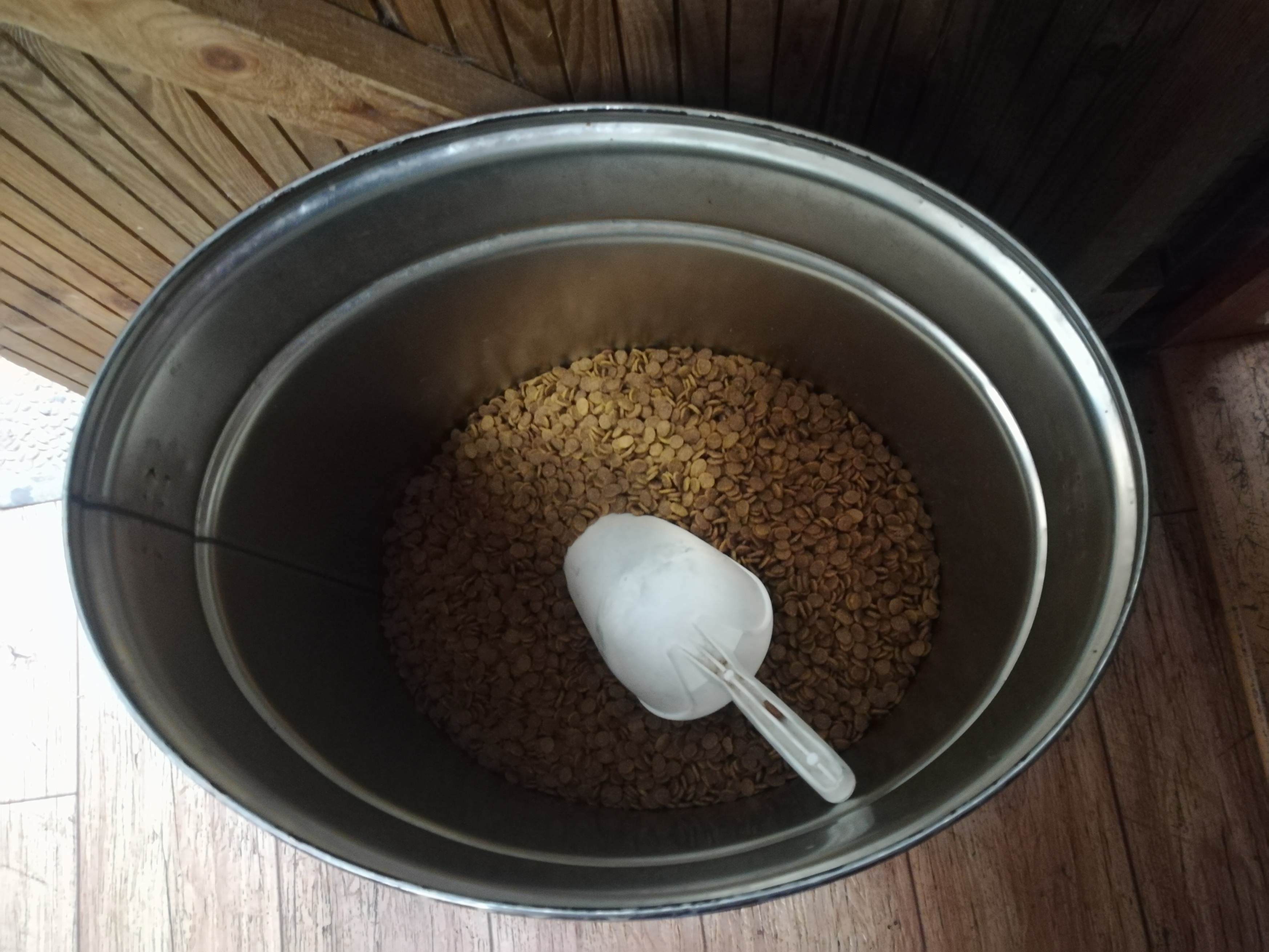 Riempiamo le ciotole!-Gattaland