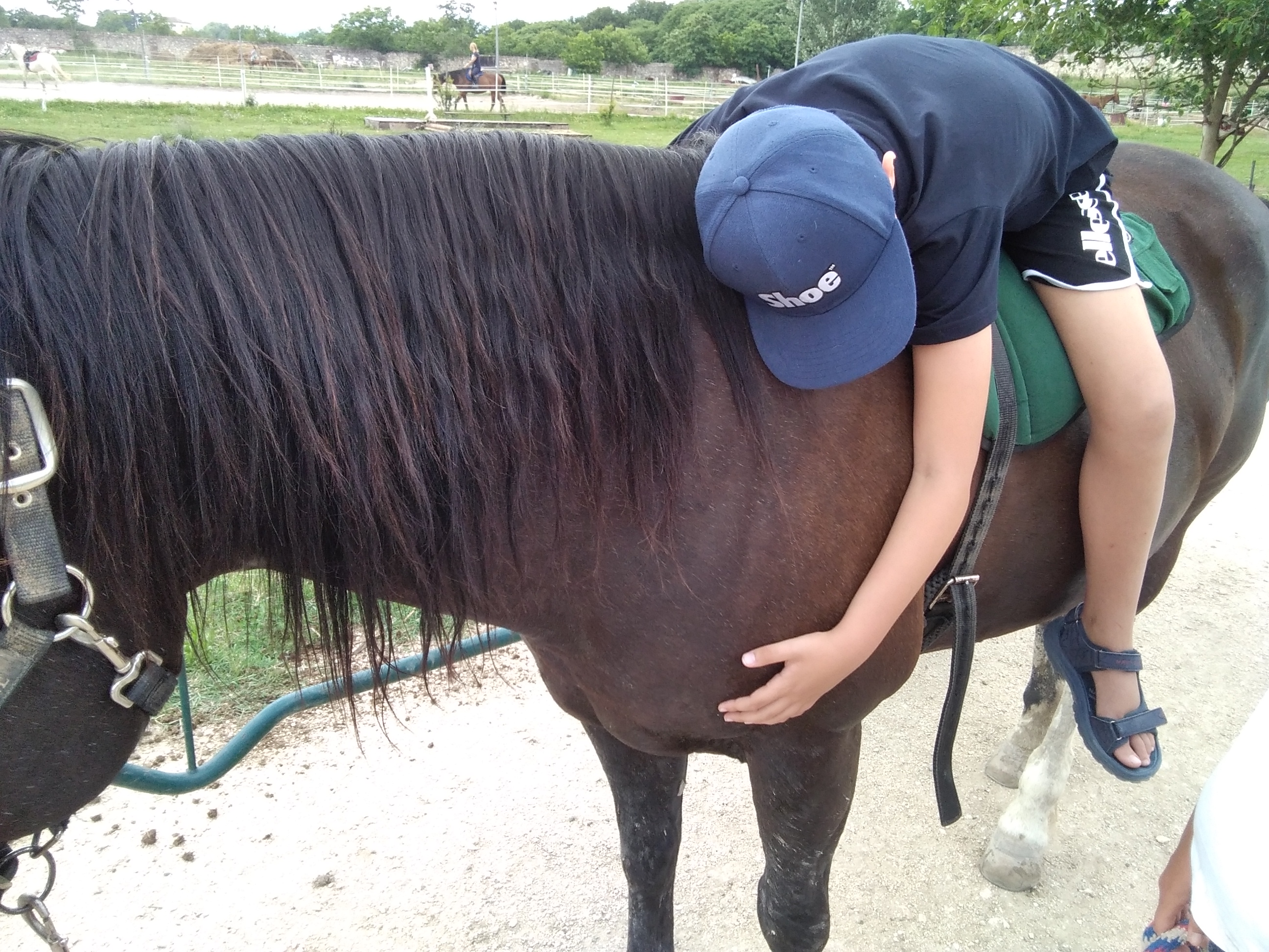 Riding the Blue - Un cavallo per amico -EY Foundation Onlus
