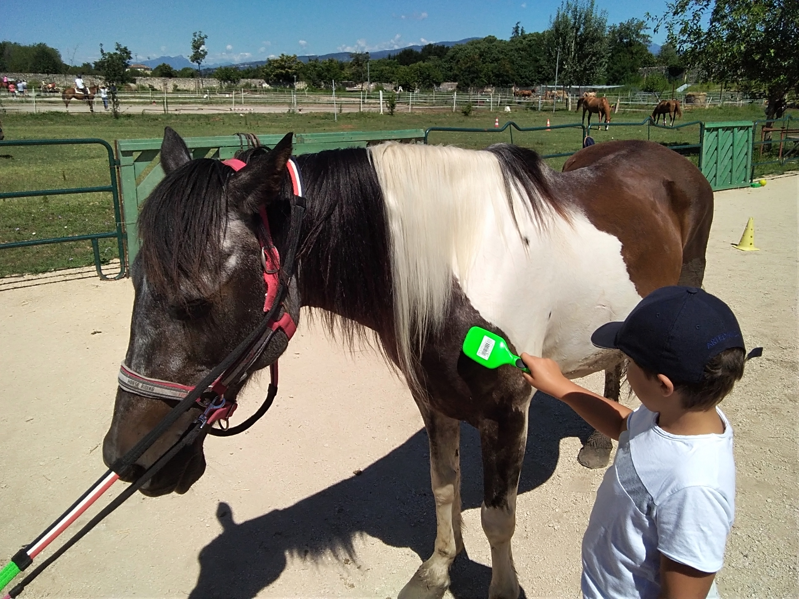 Riding the Blue - Un cavallo per amico -EY Foundation Onlus