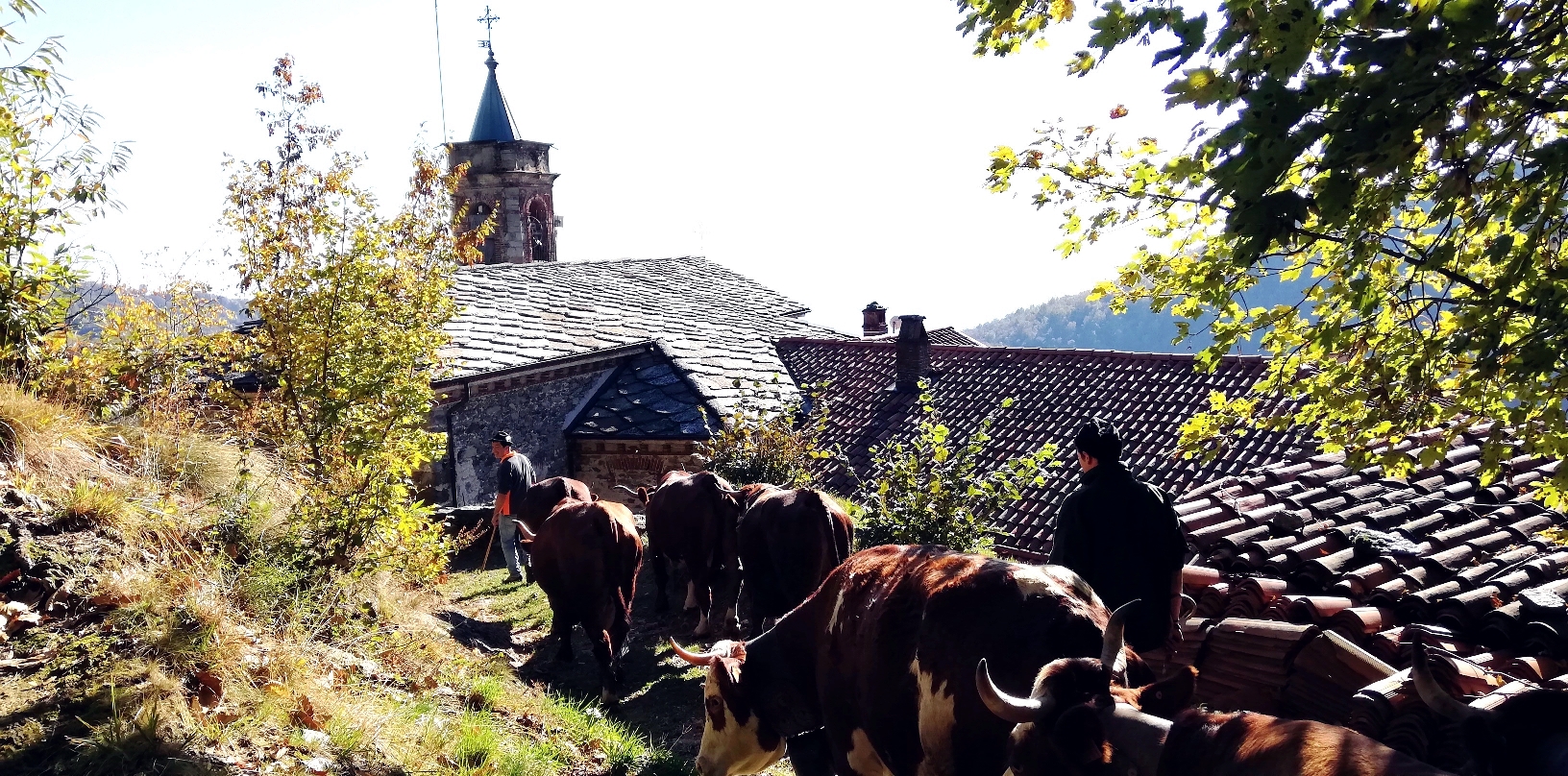 RINNOVIAMO IL CAMPANILE DI BAGNERI!-Amici di Bagneri