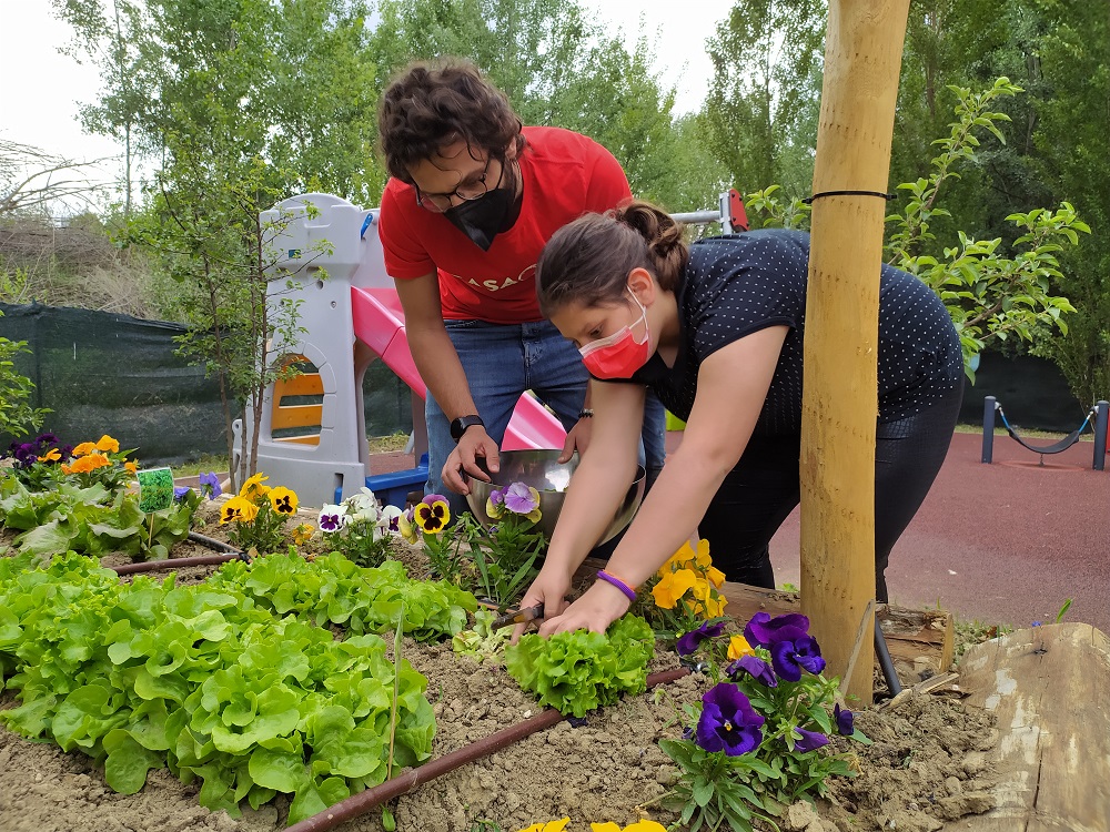 Sostieni la Quotidianità che Cura!-CasaOz Onlus