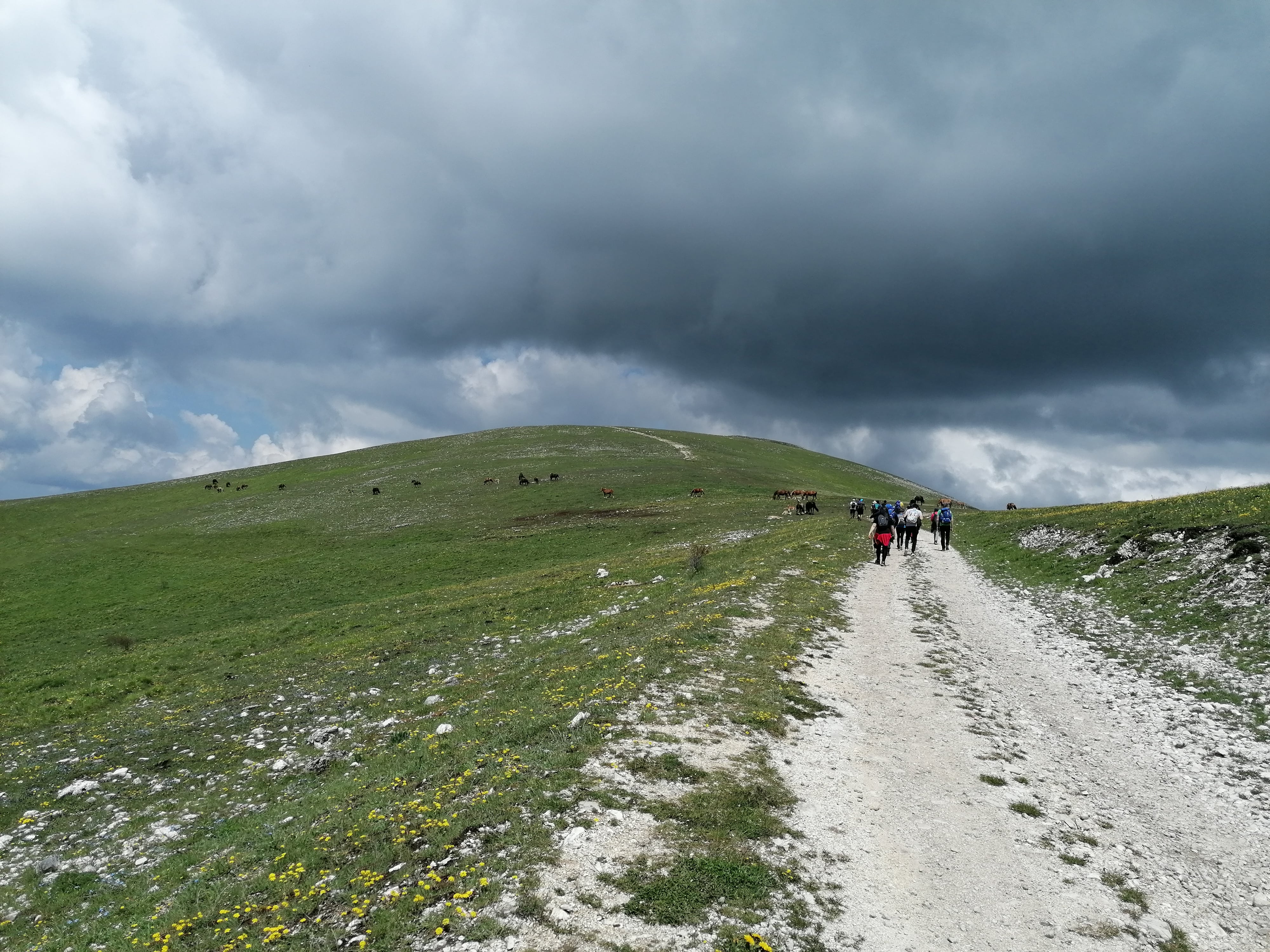 A passo d’uomo: verso la riabilitazione di Dianova A passo d’uomo: verso la riabilitazione-Dianova