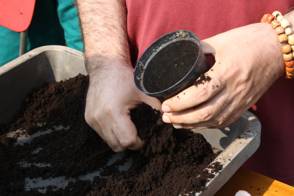 IL VIVAIO DEI TALENTI-La Monda - Fattoria Sociale