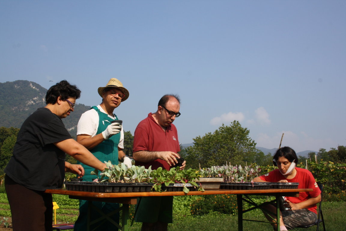 IL VIVAIO DEI TALENTI-La Monda - Fattoria Sociale