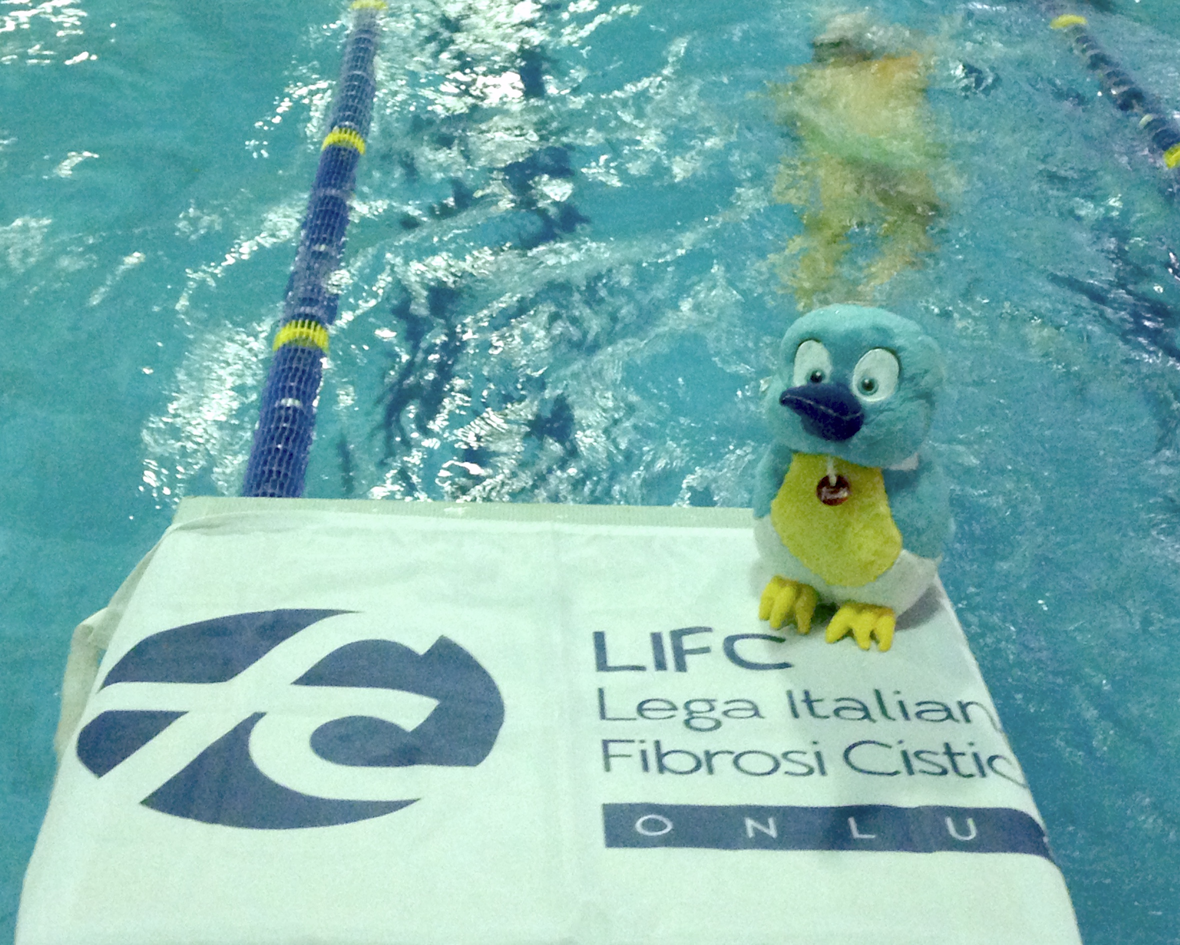 SWIMforLIFC anche a Capodanno-LIFC Onlus