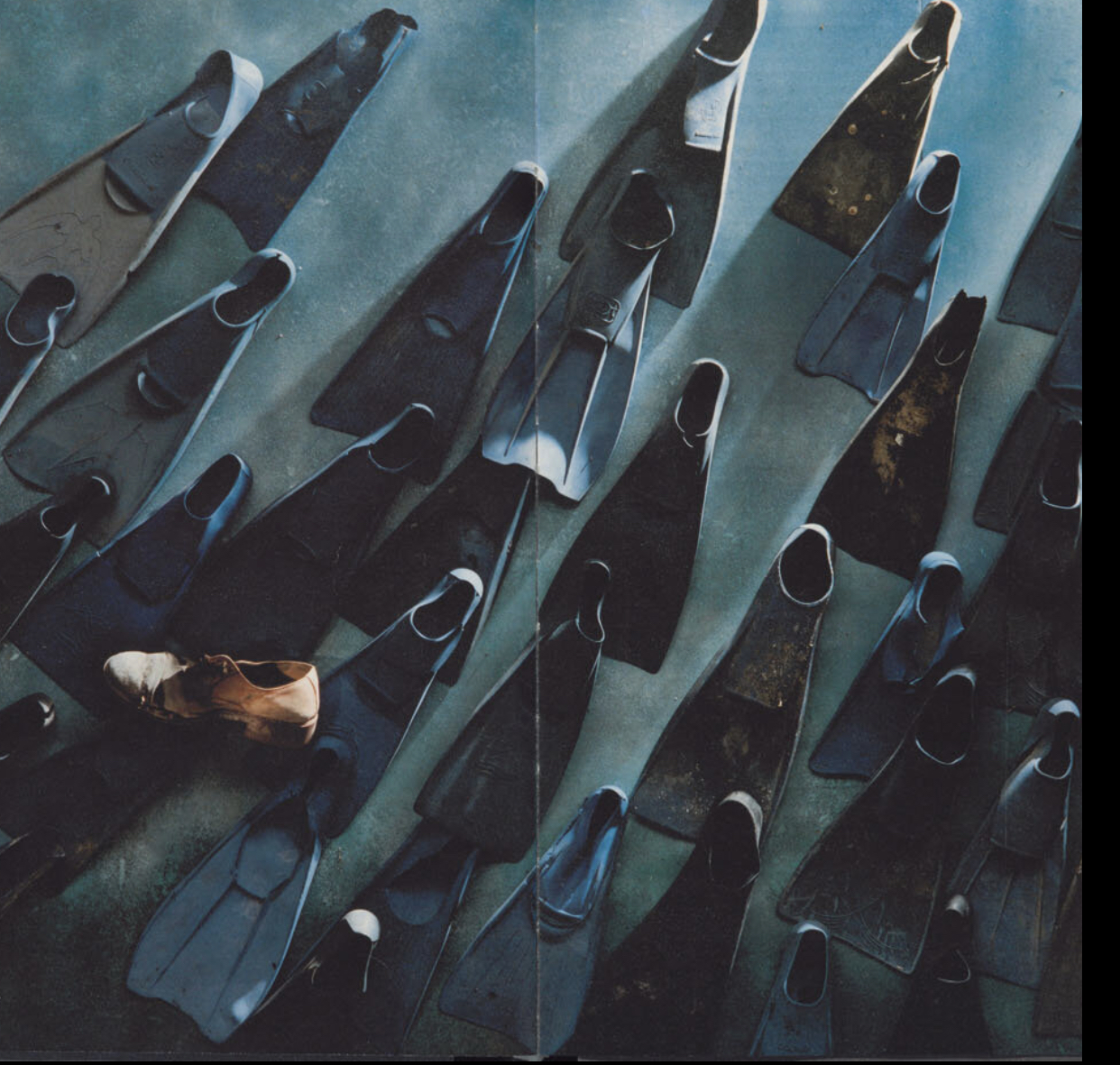 Nuova vita all’arte di Herbert Pagani di Comitato Pagani Nuova vita all’arte di Herbert Pagani-Comitato Pagani