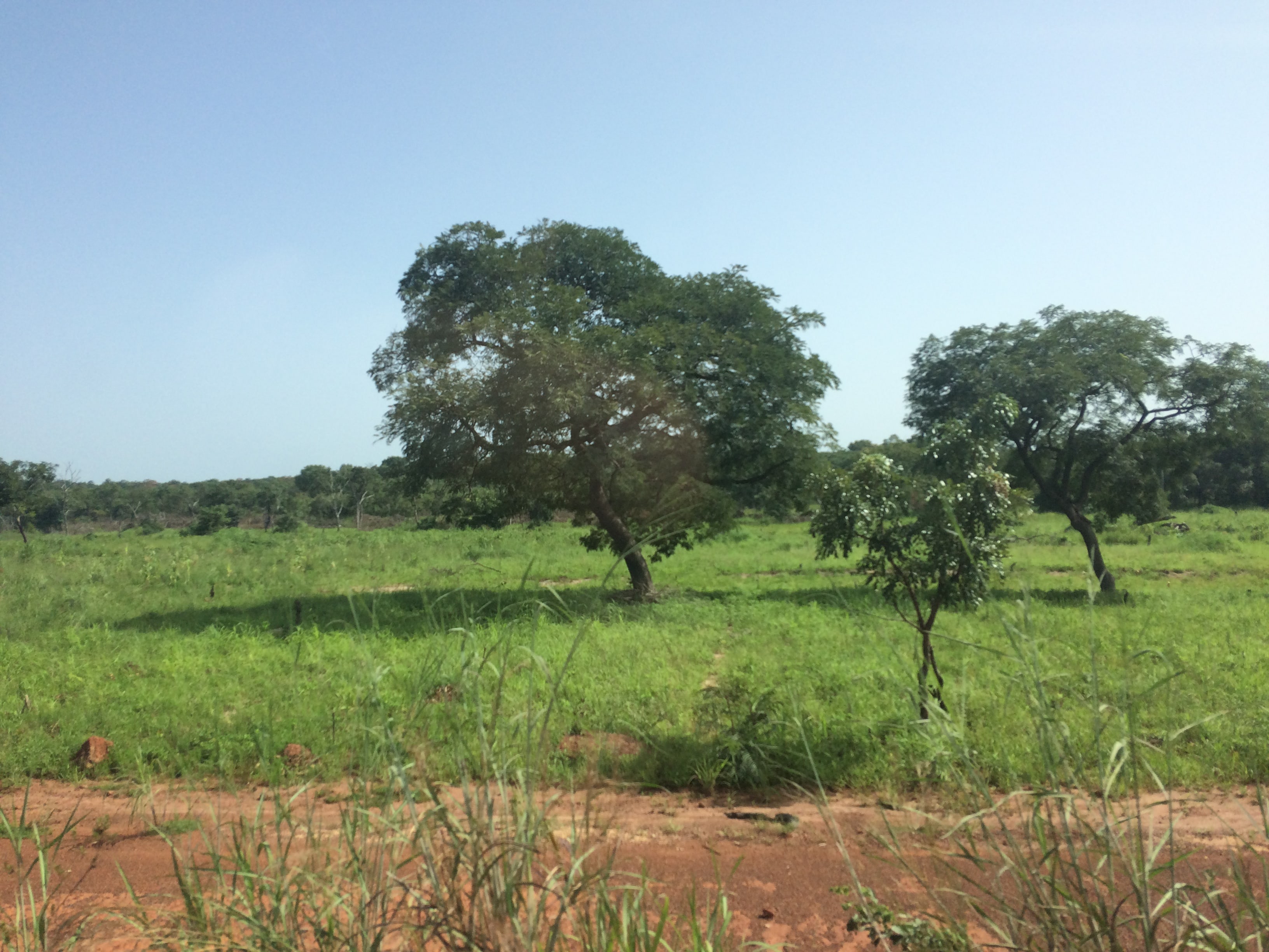 La loro sicurezza è la nostra bellezza!-CISV