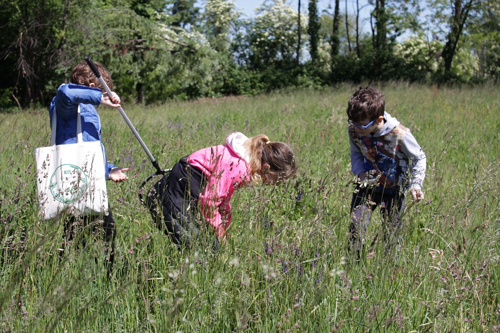 Prati fioriti per il futuro del pianeta!-Istituto Oikos
