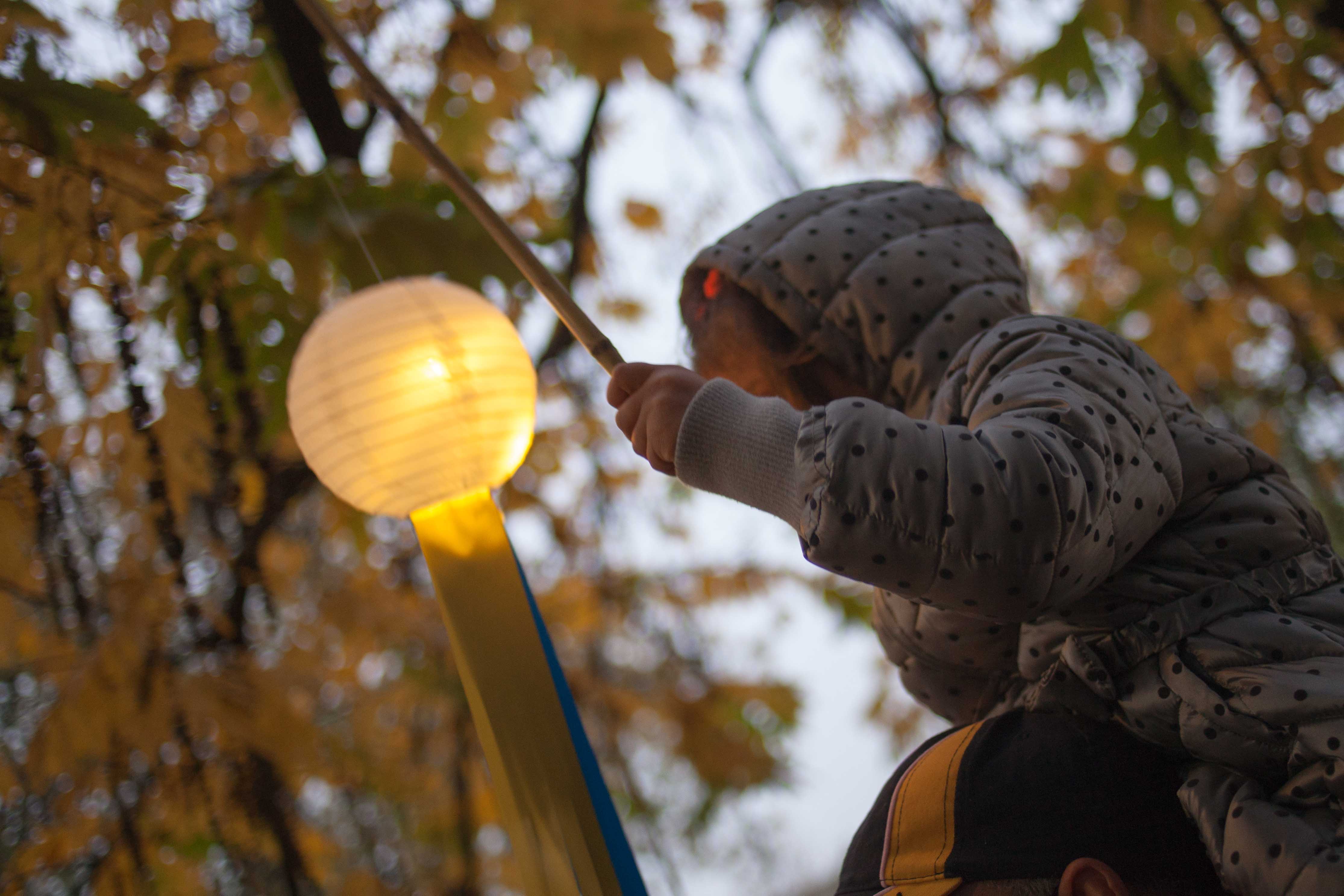 Festival Abbraccia la meraviglia-FORMATTART