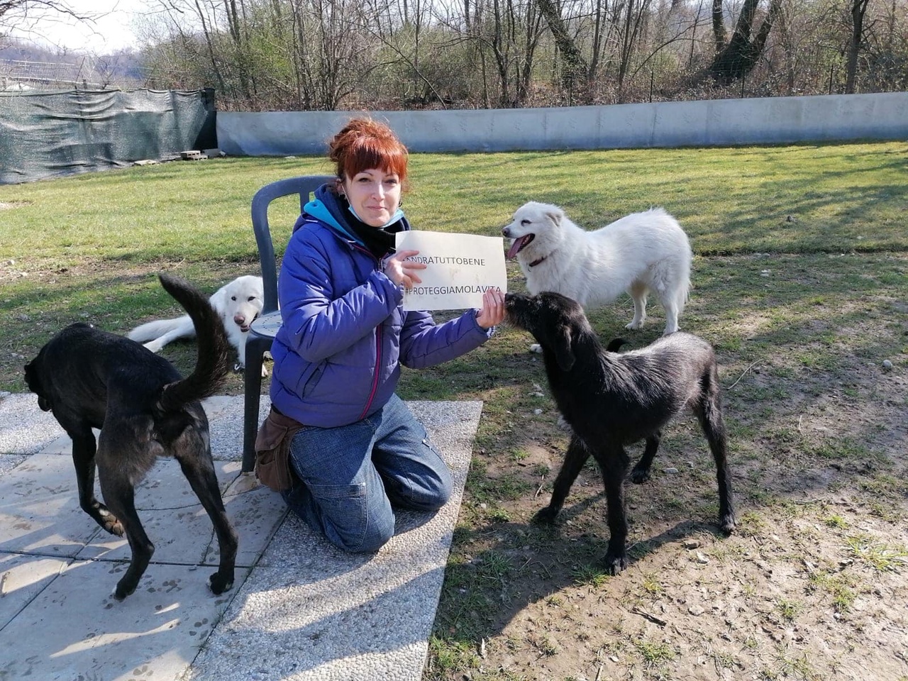 VIRTUAL PIZZA  PER I CANI DI VARESE - 