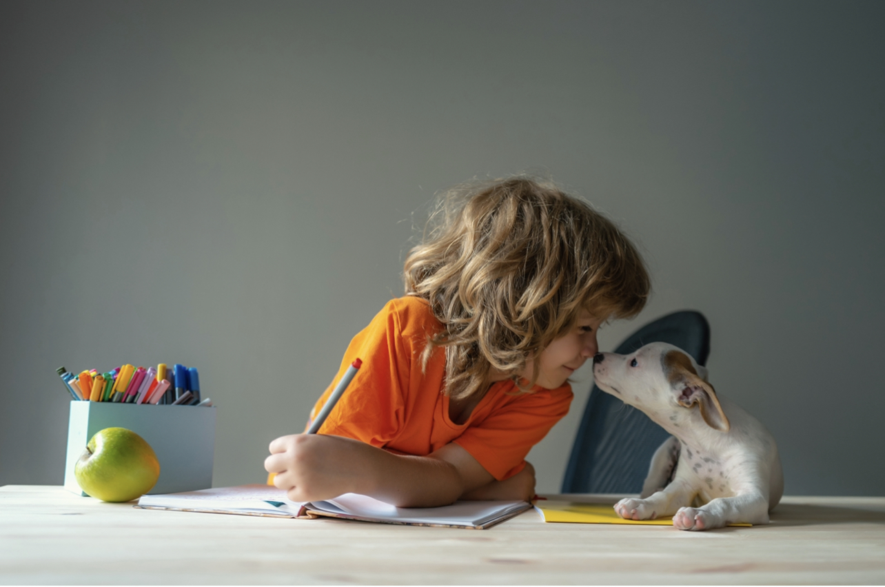 di Confido in Brugherio -Confido in Brugherio