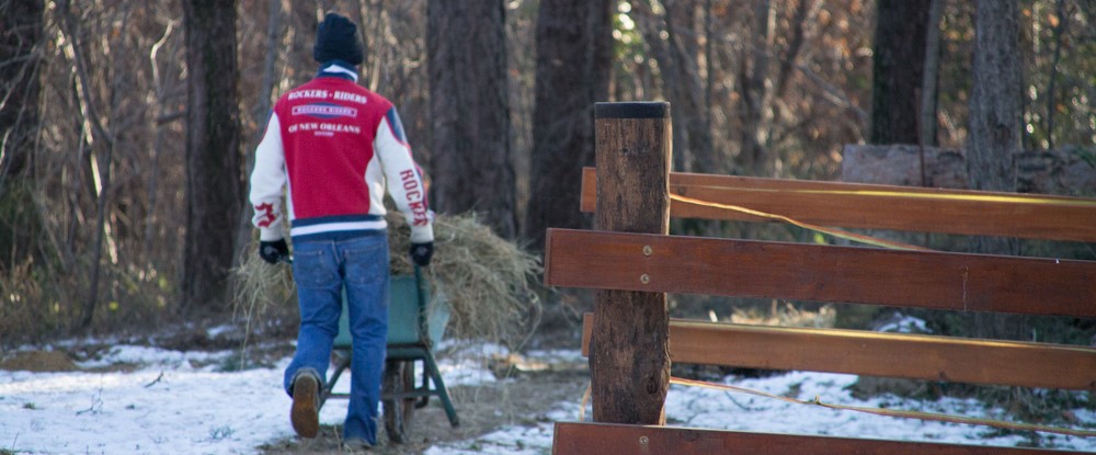RUN4THEFUTURE degli Ospiti di Bregazzana di Centro Gulliver RUN4THEFUTURE degli Ospiti di Bregazzana-Centro Gulliver