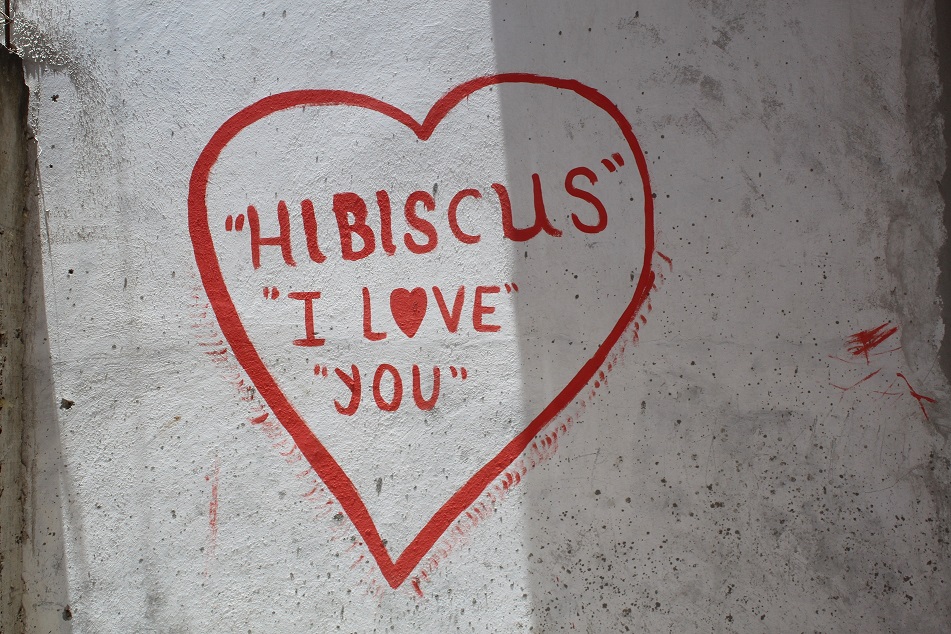 Sostegno a distanza, Haiti, ANPIL, Bambini