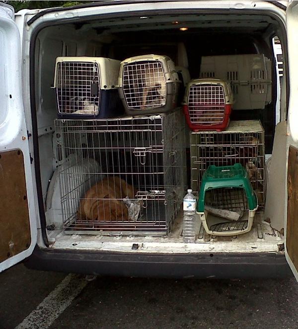 Acquisto mezzo idoneo trasporto animali di A.N.P.A.V. ODV Acquisto mezzo idoneo trasporto animali-A.N.P.A.V. ODV