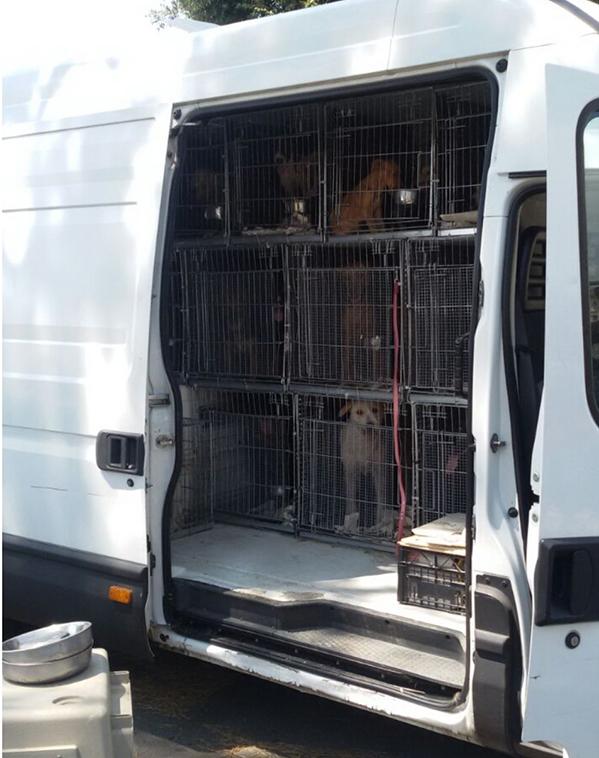 Acquisto mezzo idoneo trasporto animali di A.N.P.A.V. ODV Acquisto mezzo idoneo trasporto animali-A.N.P.A.V. ODV