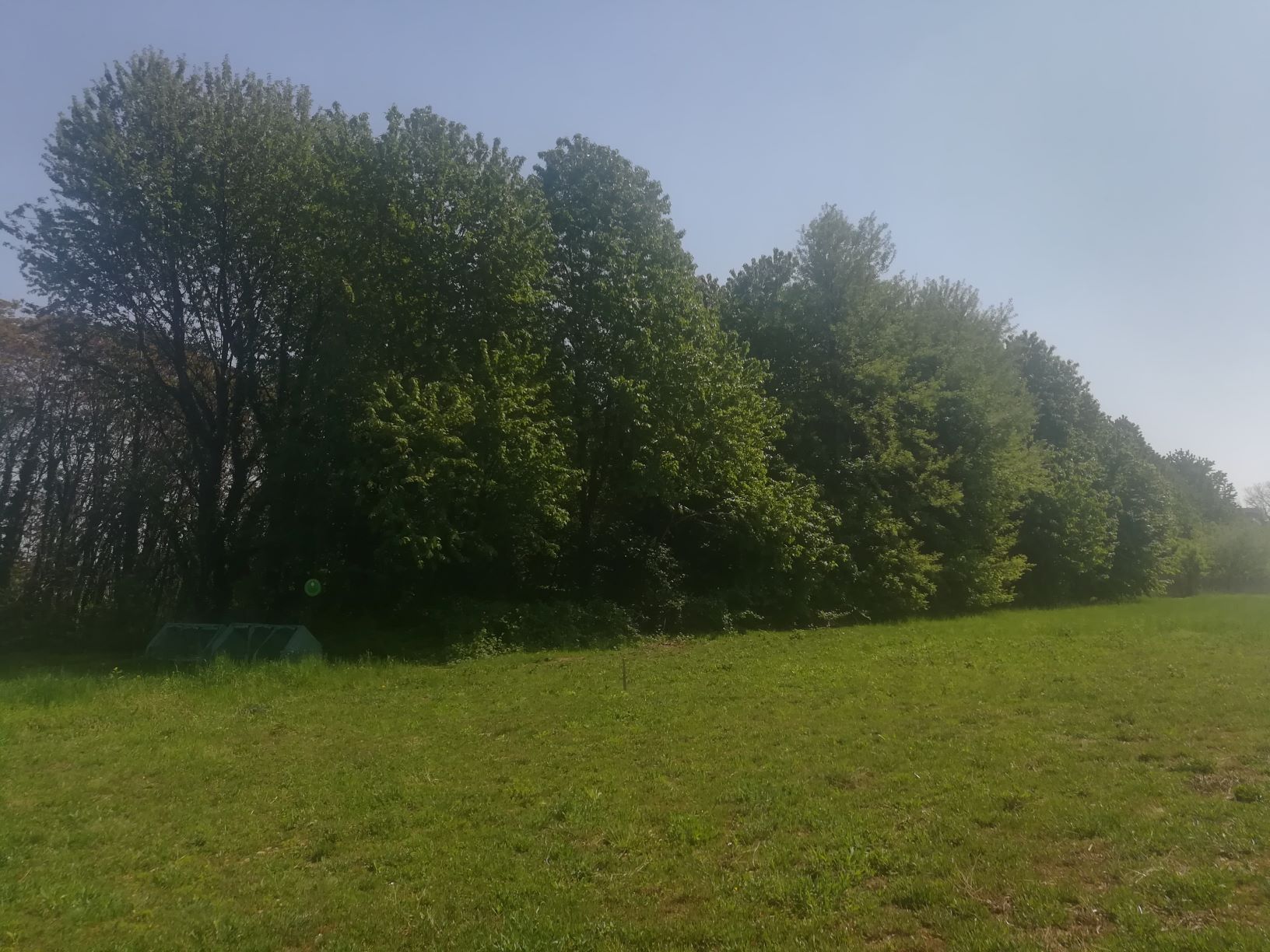 Orto solidale Tutti giù per terra-FONDAZIONE ALESSIO TAVECCHIO ONLUS