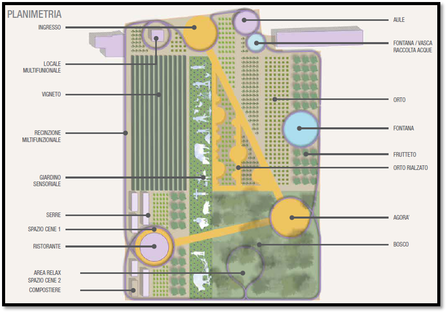 Orto solidale Tutti giù per terra-FONDAZIONE ALESSIO TAVECCHIO ONLUS