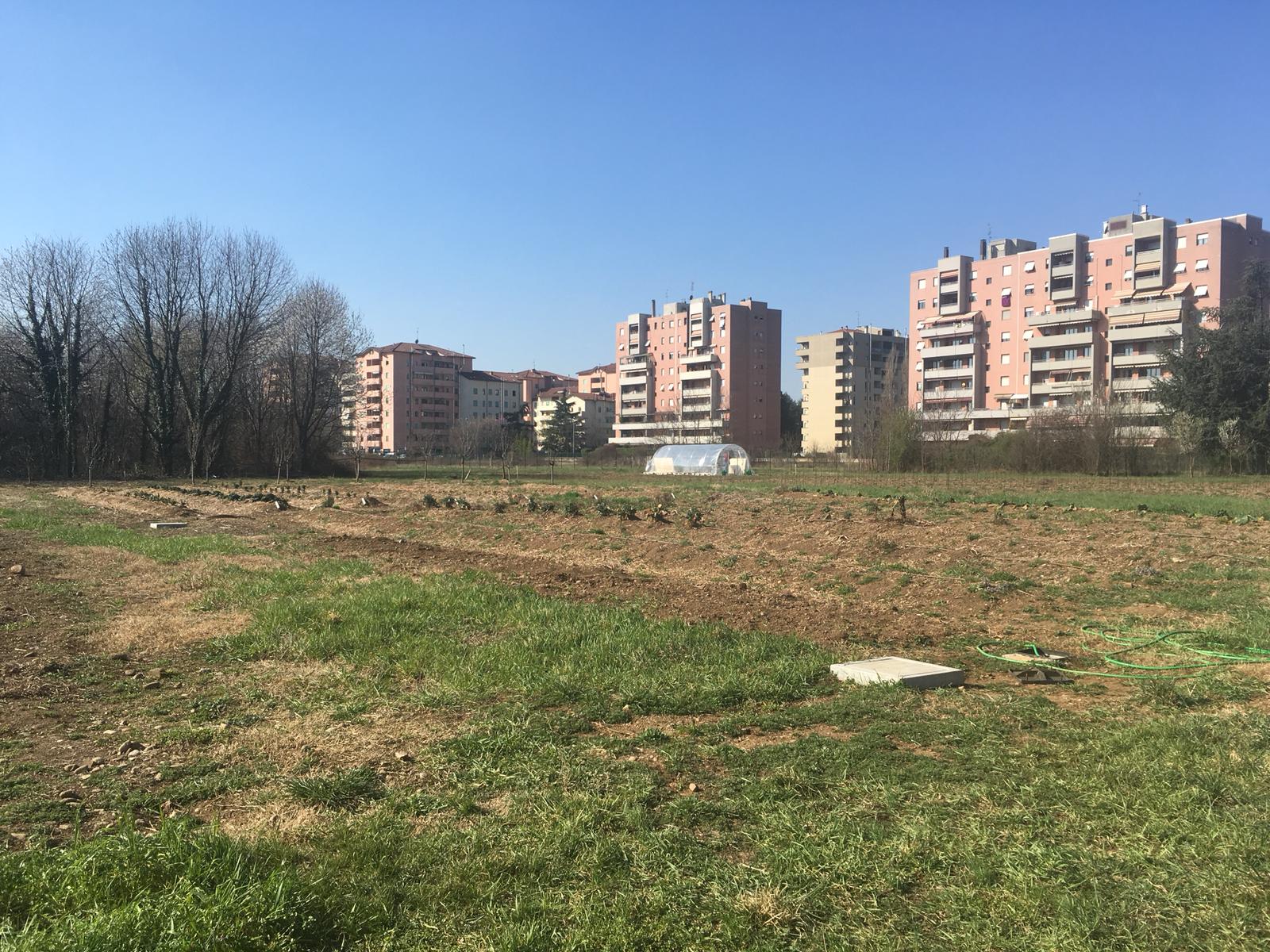 Orto solidale Tutti giù per terra-FONDAZIONE ALESSIO TAVECCHIO ONLUS