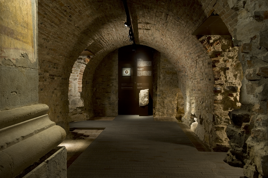 Una leva civica sotto l'albero di Associazione Mosaico APS Una leva civica sotto l'albero-Associazione Mosaico APS