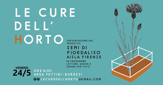 Semi di Fiordaliso di AISLA Onlus Semi di Fiordaliso-AISLA Onlus