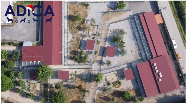 Una “masticata” di solidarietà!-A.DI.CA ODV