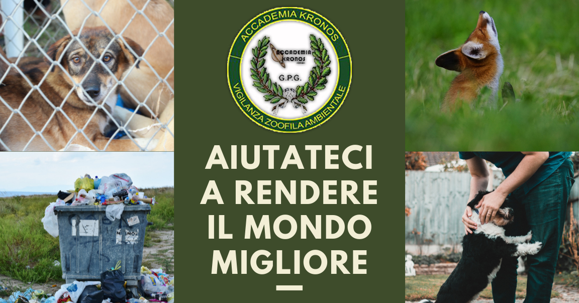 Ambiente e Animali di SAT KRONOS Ambiente e Animali-SAT KRONOS