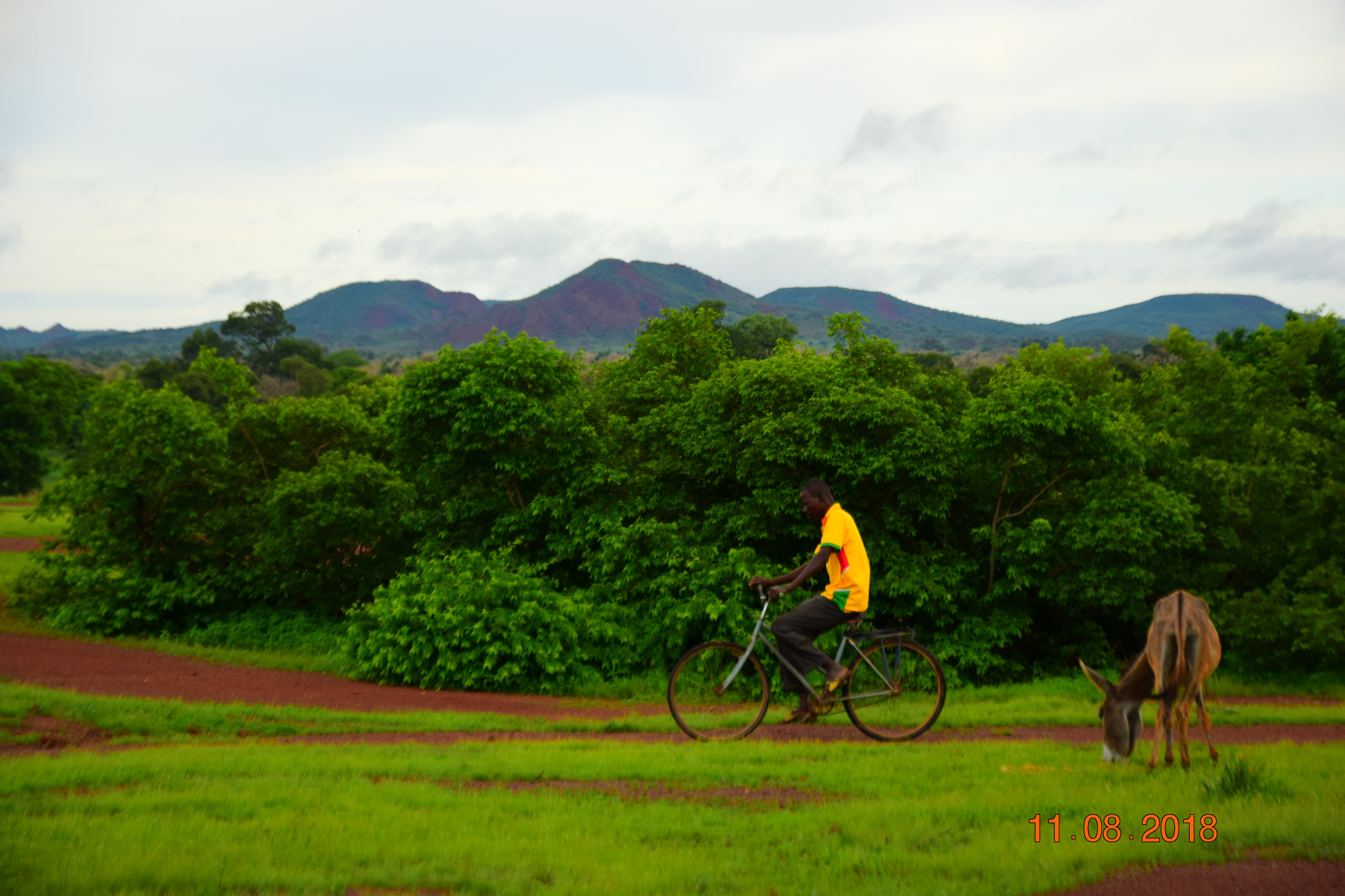 -Fondazione Maria Mediatrice