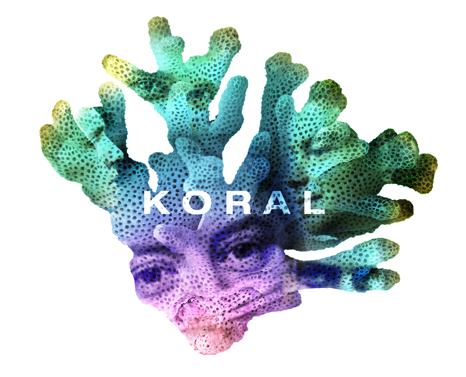 KORAL di Arci Torino KORAL -Arci Torino