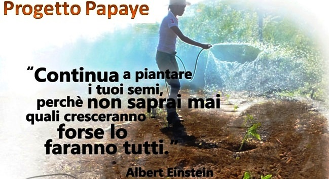 logo papaye einstein