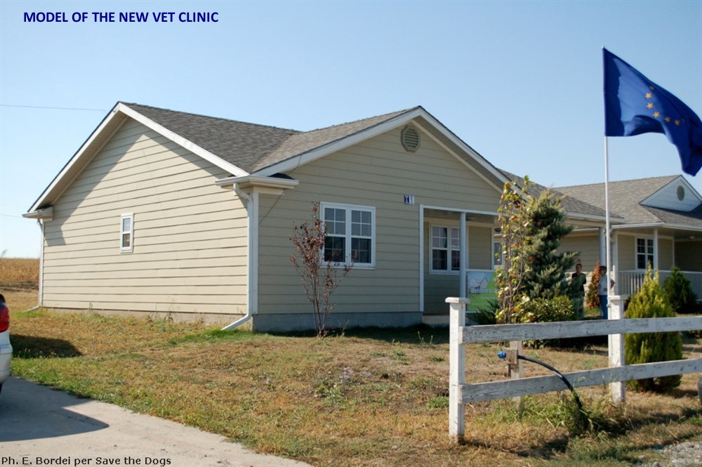 Una clinica per i randagi - A vet clinic for strays-Save the Dogs and Other Animals 
