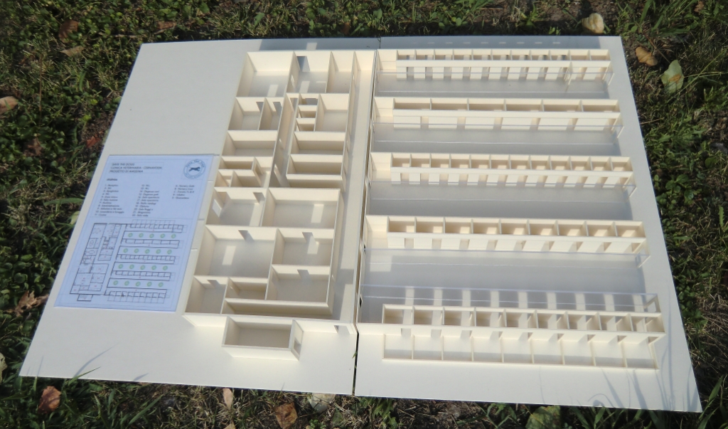 Una clinica per i randagi - A vet clinic for strays-Save the Dogs and Other Animals 