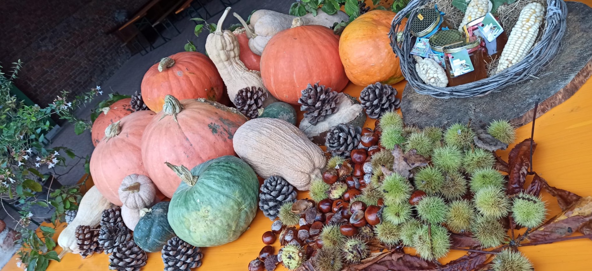 Risottata al Parco-Parco Nord Milano