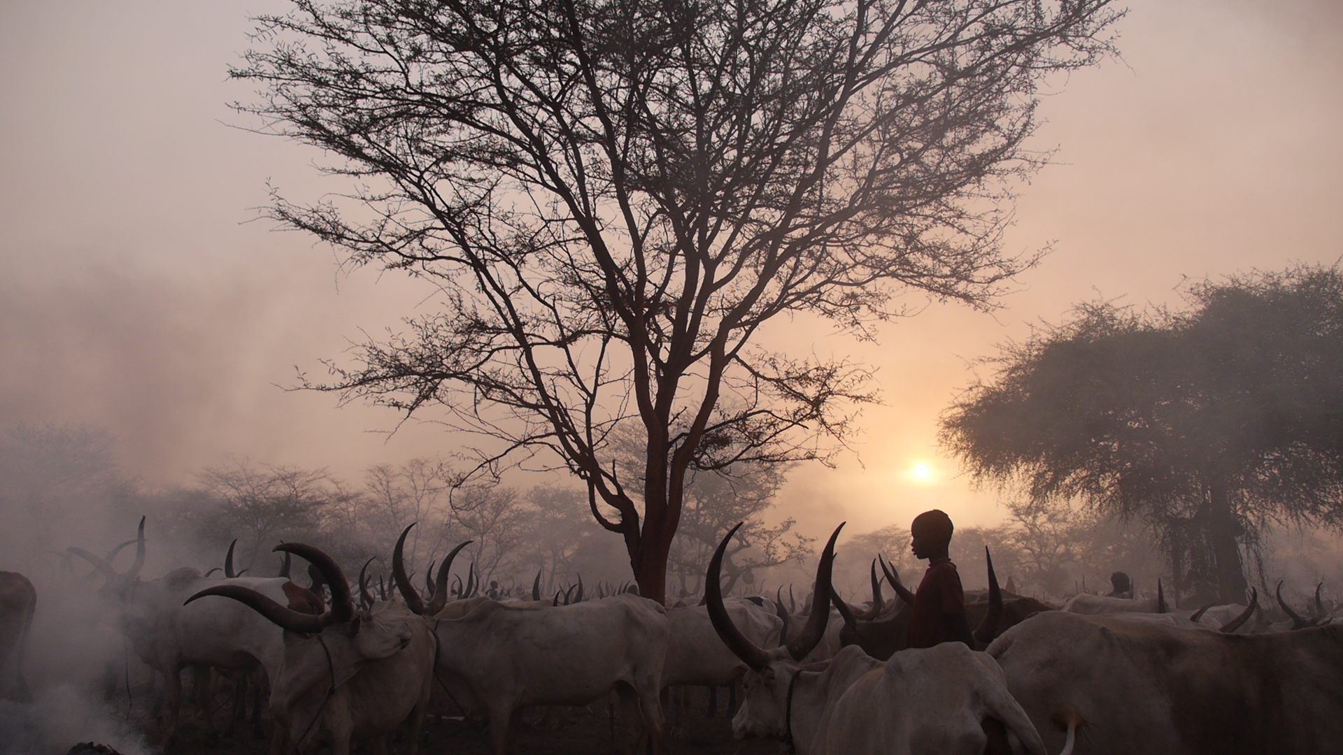 Luce per Lui-Medici con l'Africa Cuamm