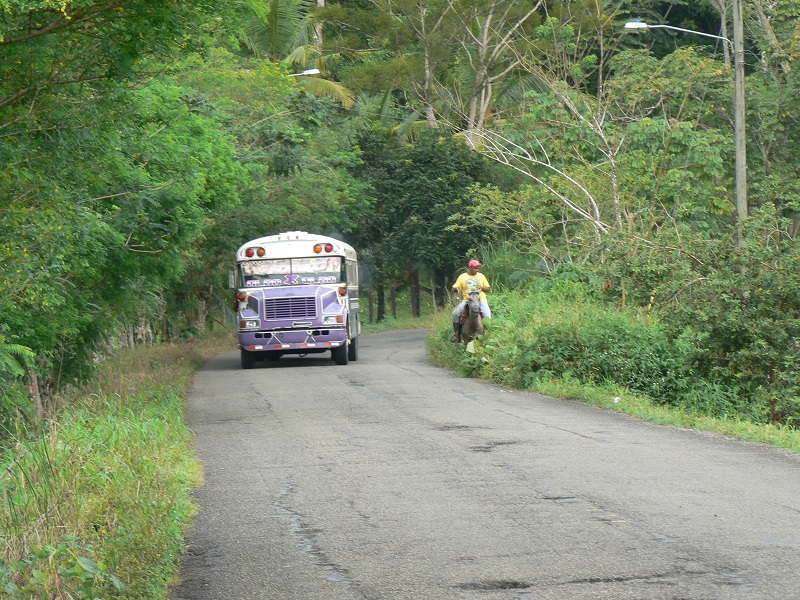 Apicoltura ad Achiote-APS Parco del Nobile