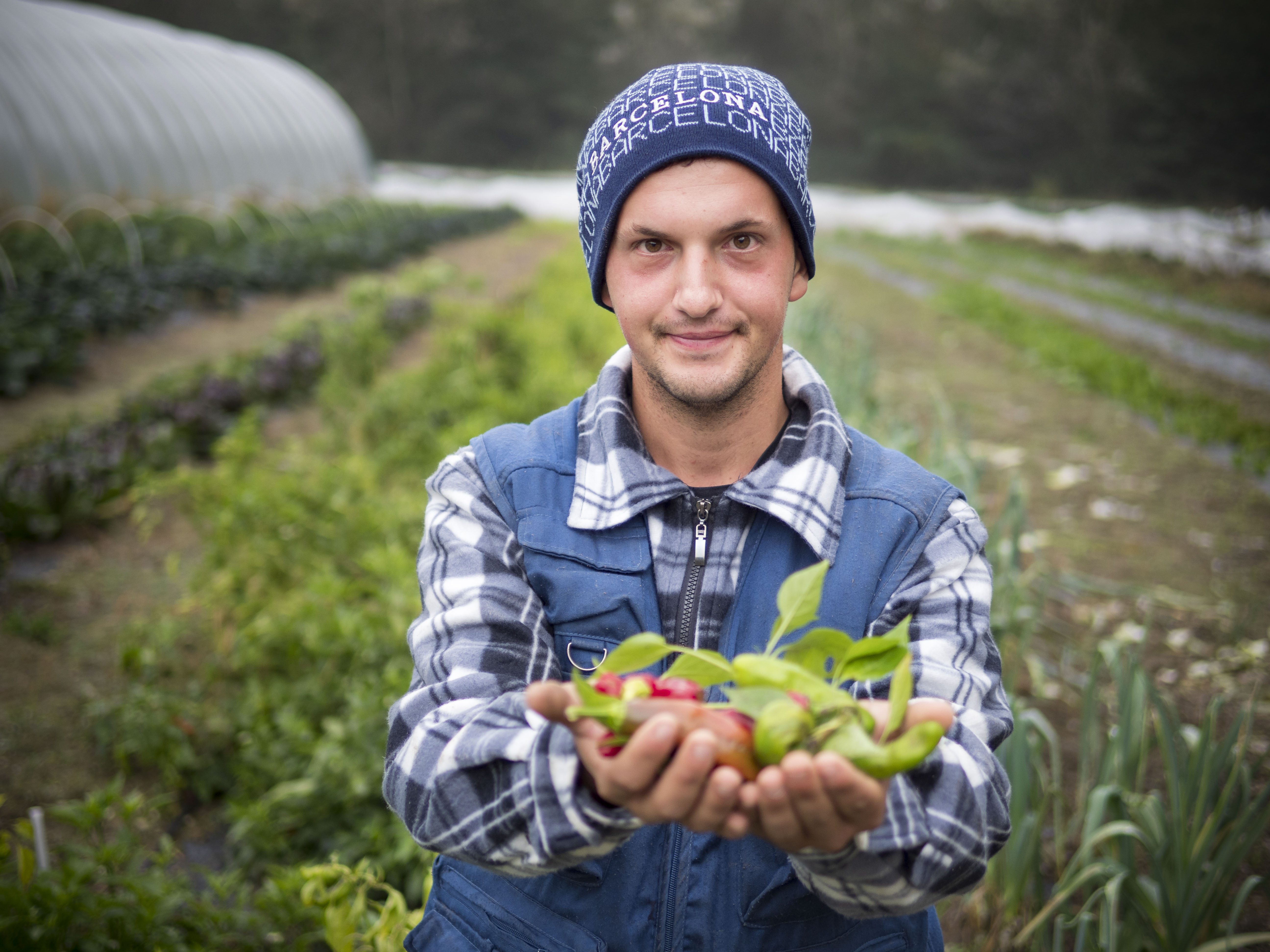 Dalla terra alla dispensa-Cooperativa Madre Terra