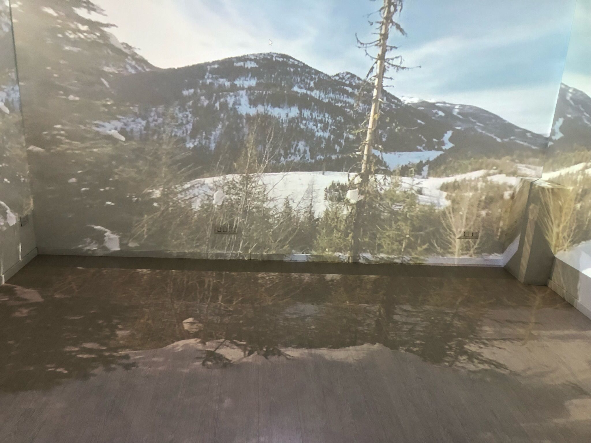 Correre fa bene... in tutti i sensi-I Gigli del Campo onlus