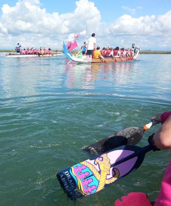 Vestiamo "Fede"-Ilrosacheosa