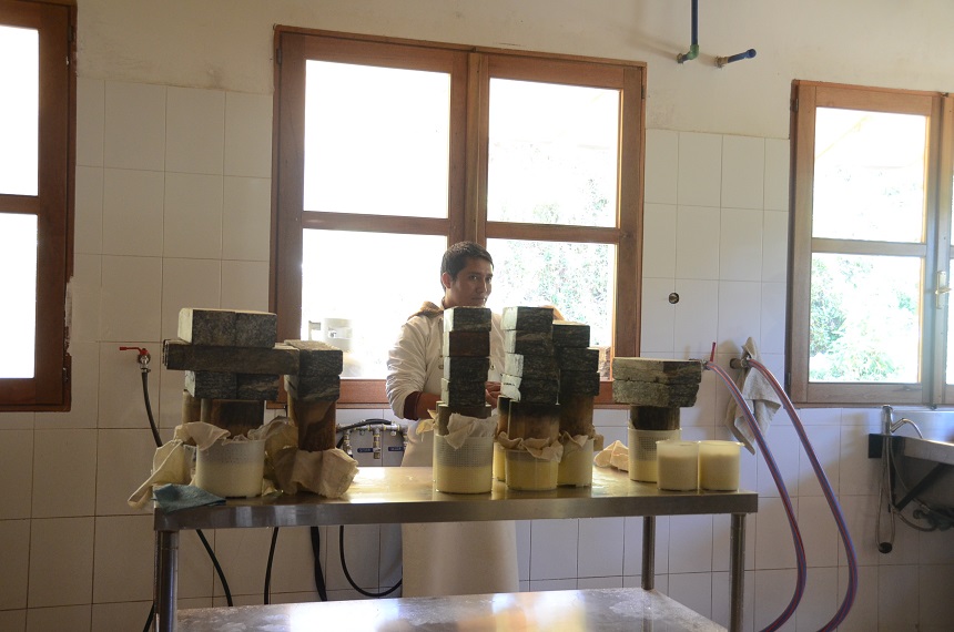 Run 4 "Perù: Latte fonte di vita" di Iscos Lombardia Onlus Run 4 "Perù: Latte fonte di vita"-Iscos Lombardia Onlus