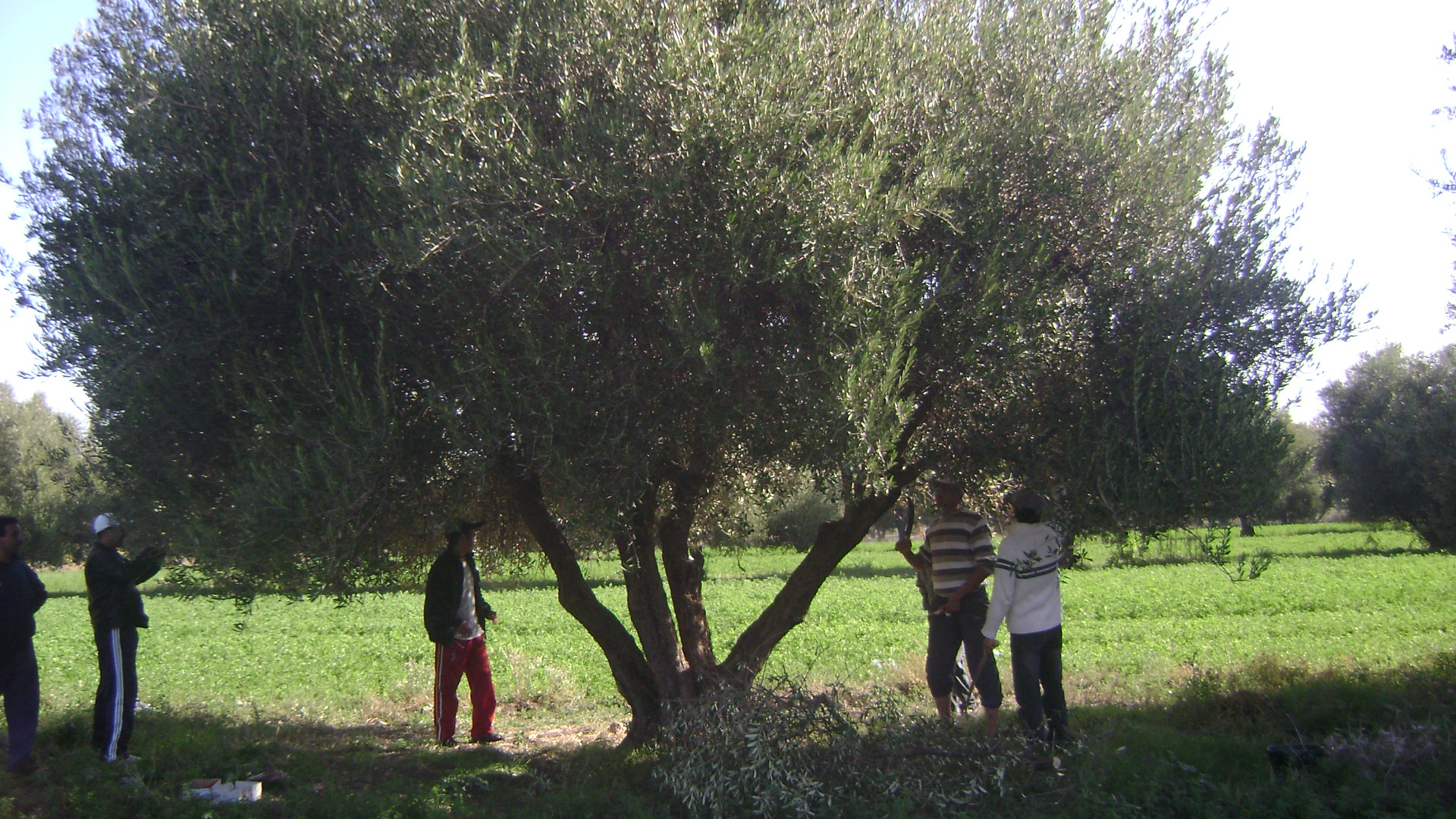 Marocco Sport Challenge-CEFA ONLUS