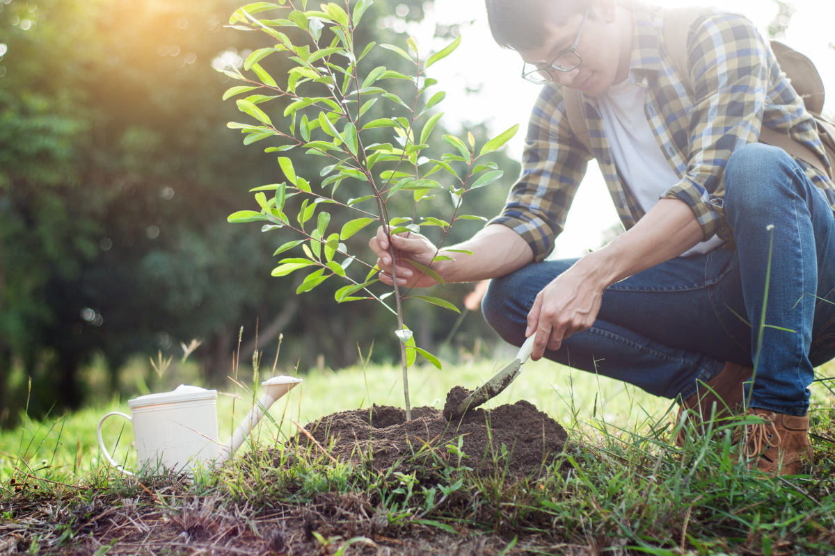 "Dona e pianta un albero" di ARCI CACCIA CALABRIA "Dona e pianta un albero"-ARCI CACCIA CALABRIA