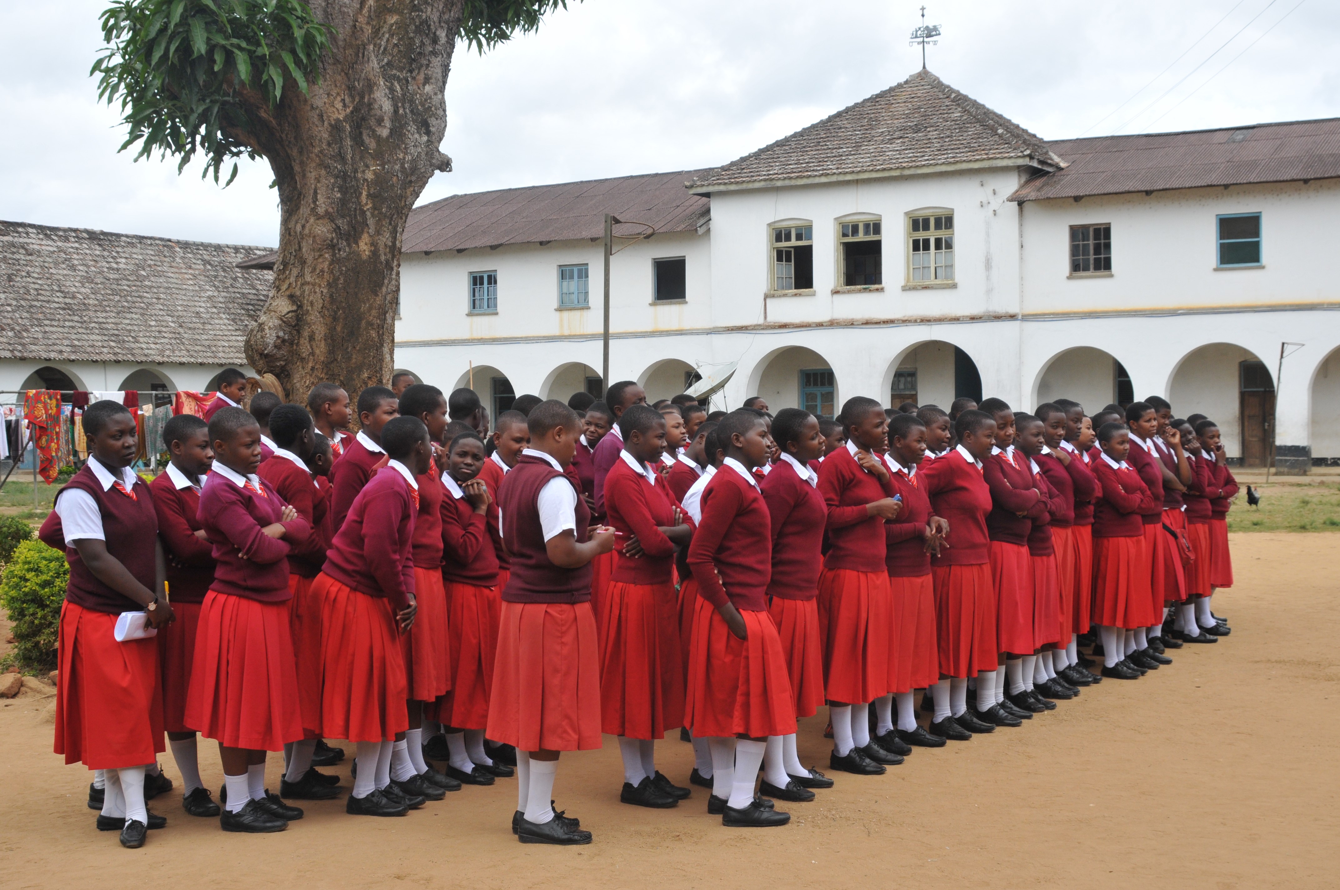 KARIBUNI di VITW KARIBUNI-VITW