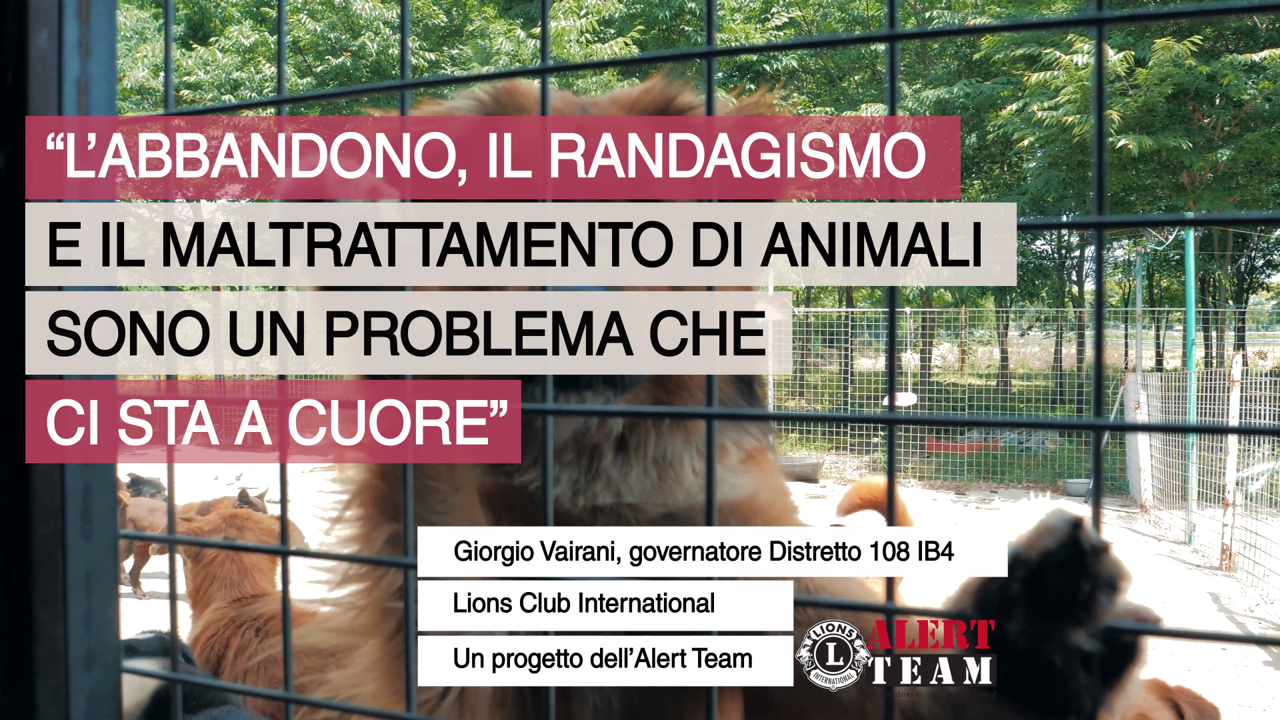 Lions contro l'abbandono e il randagismo di Distretto Lions MilanoCittàMetropolitana Lions contro l'abbandono e il randagismo-Distretto Lions MilanoCittàMetropolitana